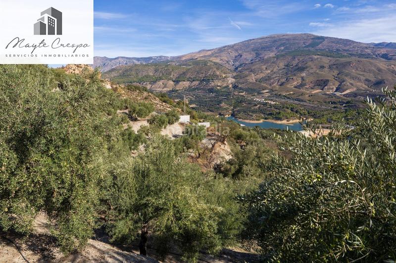 Foto e0ddeb1d-7cd4-4ff8-9812-c38faff3b67c. Rural plot in Lecrín