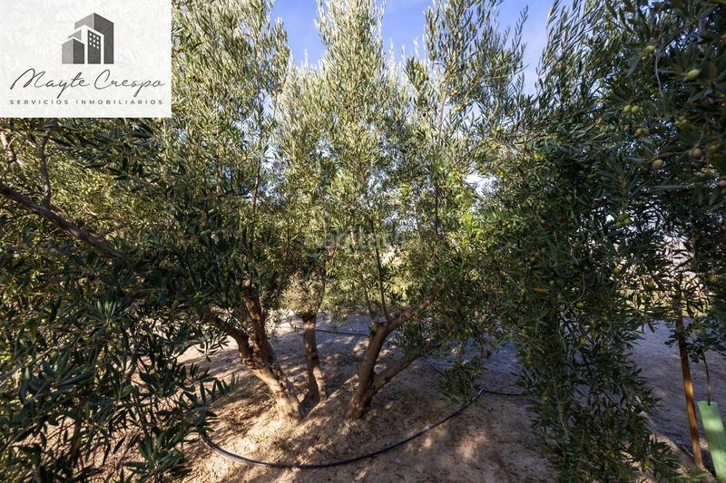 Foto e61aa8ae-78a0-43be-97cc-e44c137a59d4. Rural plot in Lecrín