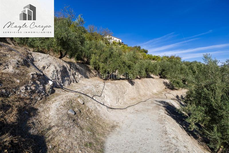 Foto f4ab43ed-fbe1-4da9-ae08-f1401141c8d3. Rural plot in Lecrín