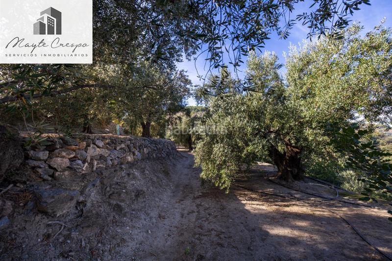 Foto f4cbcbb3-e97d-4e50-b938-5f6620cc9d42. Rural plot in Lecrín