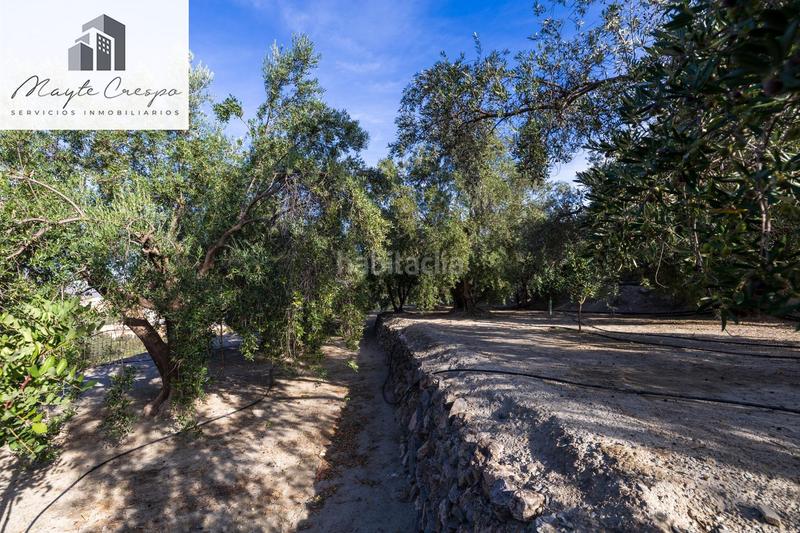 Foto fae2966b-4735-4f82-9231-b8a681e961de. Rural plot in Lecrín