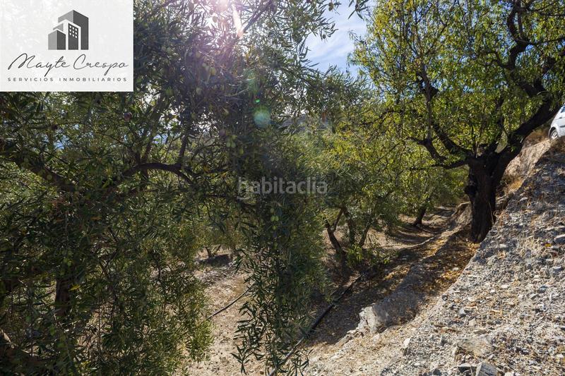 Foto fc5de67e-f2eb-4a38-843c-715d72386523. Rural plot in Lecrín