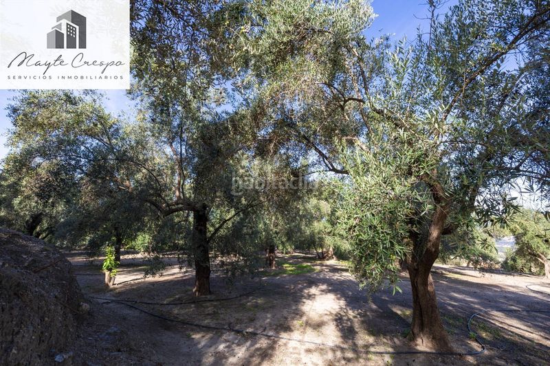 Foto 0da8aff0-249a-4e03-b7f2-a4a45e121105. Finca rústica a Lecrín