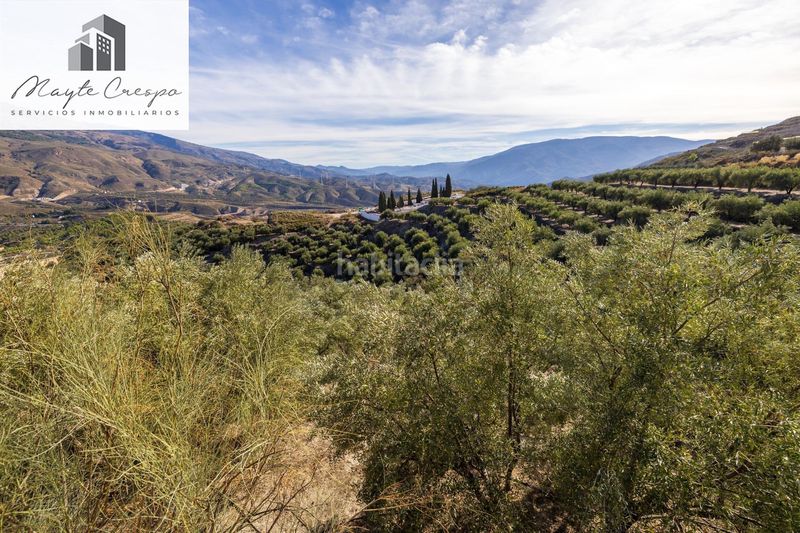 Foto 0fc0f822-4c1f-420c-bb03-d833c0e94821. Finca rústica a Lecrín