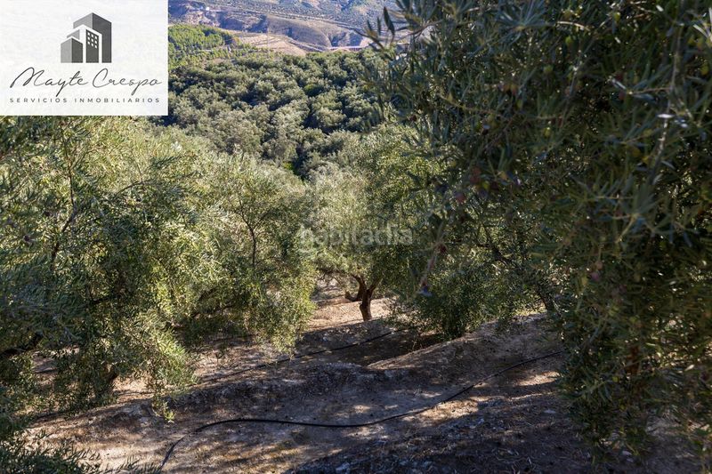 Foto 38e54e06-7fc3-4916-84a1-865988b29b64. Finca rústica a Lecrín