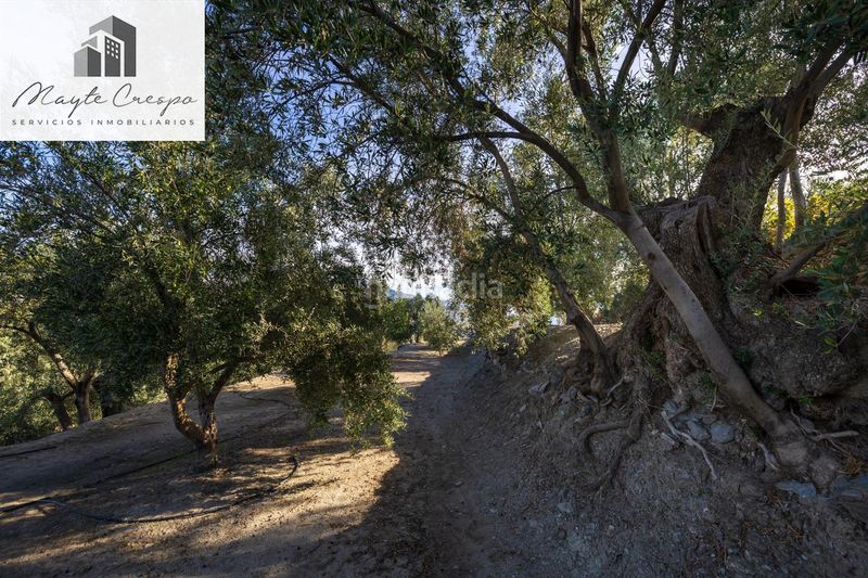Foto b371dee0-f19b-47cd-93a0-95158054fb7e. Finca rústica a Lecrín