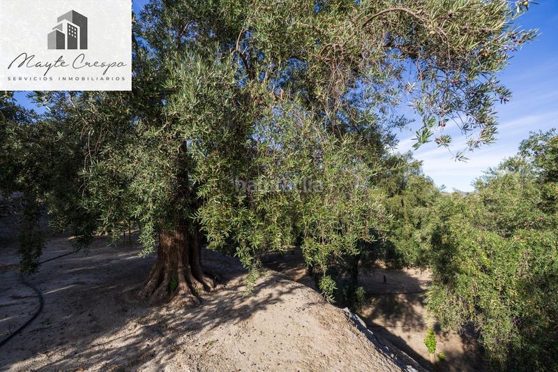 Foto e9f4b991-20e6-467e-8bc7-5e54ec271818. Finca rústica a Lecrín