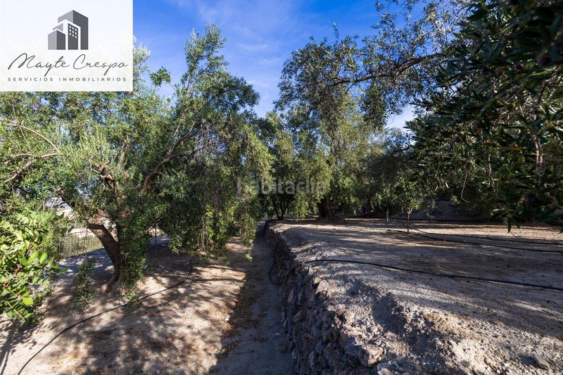 Foto fae2966b-4735-4f82-9231-b8a681e961de. Finca rústica a Lecrín