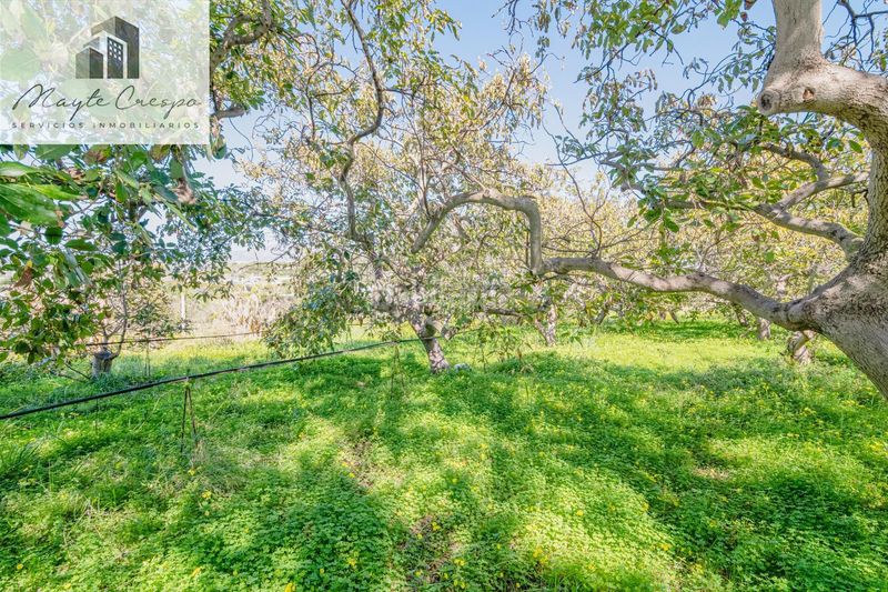 Foto 4071e8f6-4553-4972-b772-21392f8c486e. Chalet in calle alcubillas 44 in Los Tablones - La Garnatilla Motril