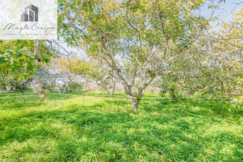 Foto b1821d7d-aa47-4c5c-8532-e948d1de0f6a. Chalet in calle alcubillas 44 in Los Tablones - La Garnatilla Motril