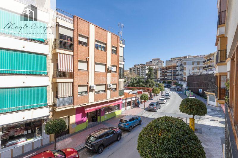 Foto 7cfe2b7d-734d-40a9-aa7d-75c20675ed4f. Pis a Loja