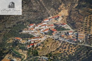Casa  Yesares bajo ag olivares. Casa en planta baja