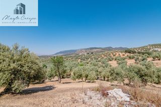 Landgut  Polígono polígono 9 parcela 130 herradores. illora (granad. Finca rustica de 32.500 m2 de olivar hojiblanco tradicional con