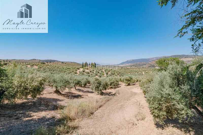 Foto 01708177-9186-4758-94da-29ce305ff943. Finca rústica a Íllora