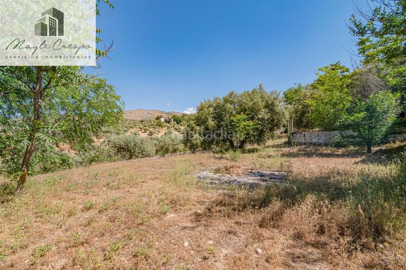Foto b547708c-42c0-40f8-a030-58820a2c9b97. Finca rústica a Íllora