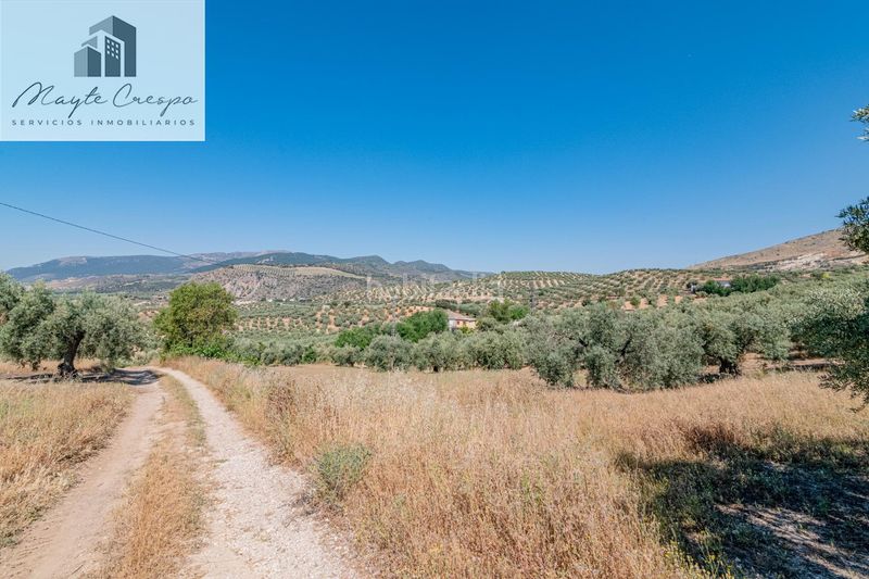 Foto f3aec25a-8612-4634-b943-6df1a70959d1. Finca rústica a Íllora
