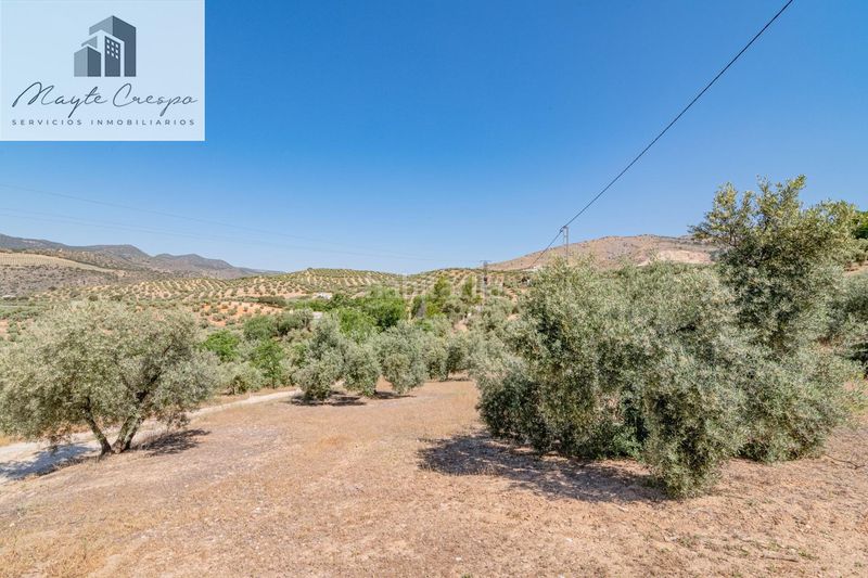 Foto f81340c7-2d31-4027-bd24-b20ed96f3143. Finca rústica a Íllora