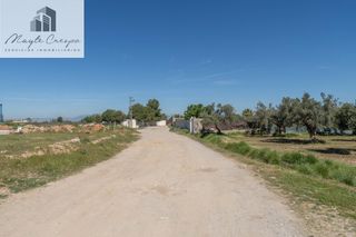 Rural plot  Camino otura. Terrero rústico en otura