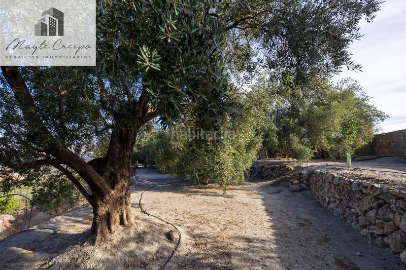 Foto 30d0ef0c-87ca-4518-8924-d81478f6045a. Finca rústica a Pinar (El)