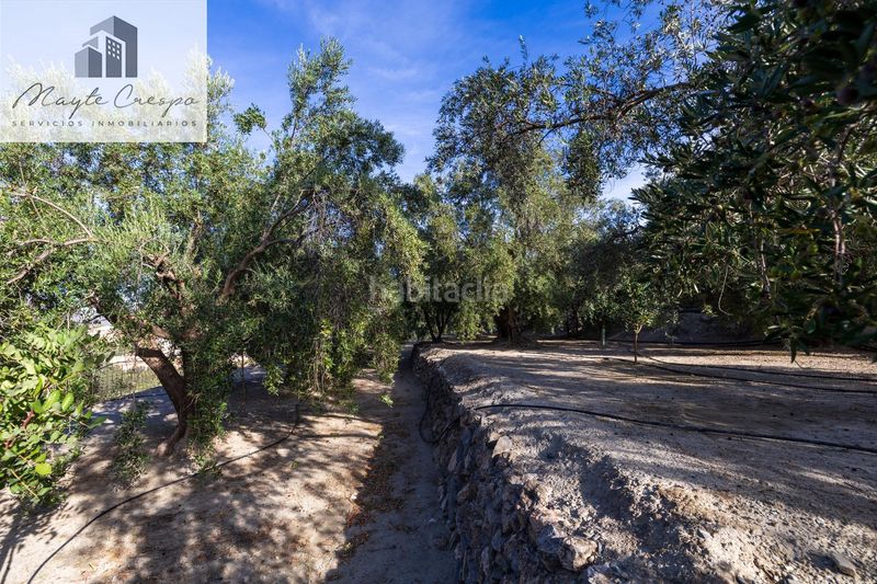 Foto 7e18109f-03b8-469f-bcb6-021a3286e5a6. Finca rústica a Pinar (El)
