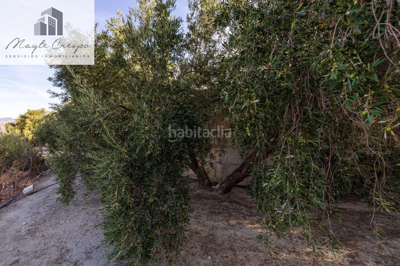 Foto 9a561bcb-ae22-44f8-8fa1-db78a66893a2. Finca rústica a Pinar (El)