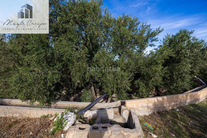 Foto a0bdfe29-2b15-4a56-a31f-c94f3856b54c. Finca rústica a Pinar (El)