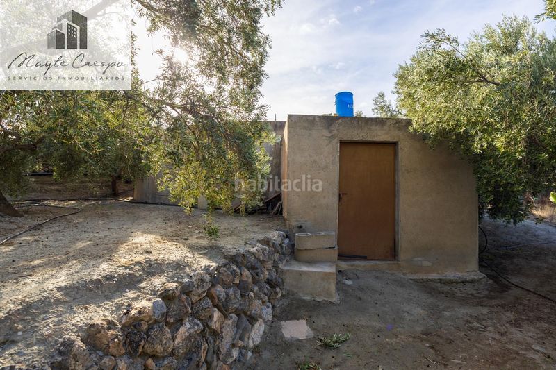 Foto abf173b3-bb72-4503-b963-71f62cbd6249. Finca rústica a Pinar (El)