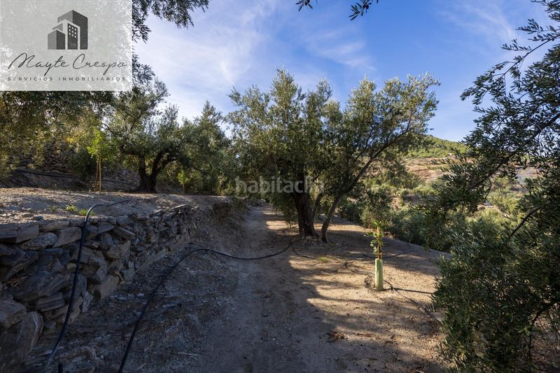 Foto c5f802b2-c4c0-4ea9-ad5d-db5e49c20215. Finca rústica a Pinar (El)