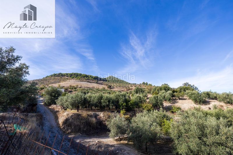 Foto cbe3c8be-25db-44b6-83a8-231607d99de8. Finca rústica a Pinar (El)