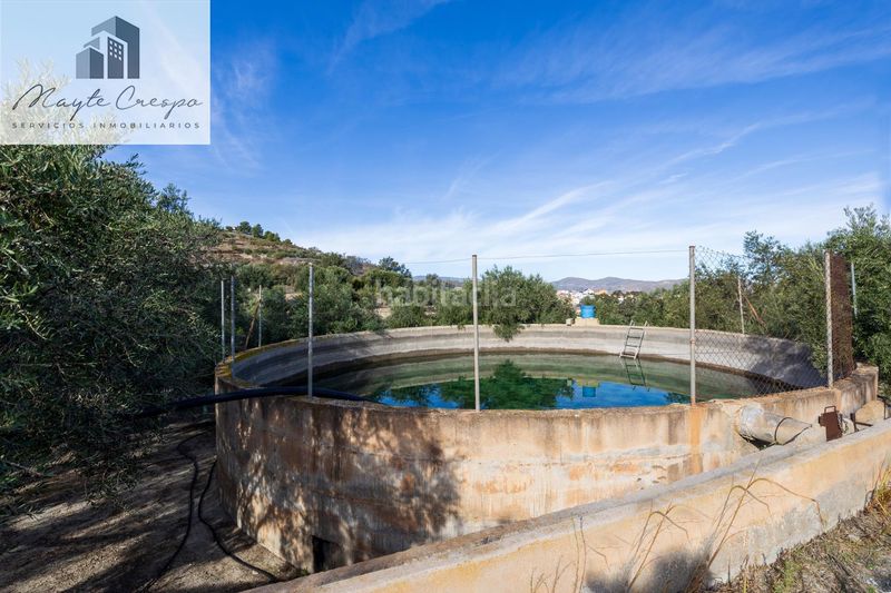 Foto d11fe588-8976-4fc4-905c-59baf3c97af1. Finca rústica a Pinar (El)