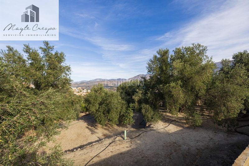Foto d767e26f-a1cd-424c-b645-c20c048d469f. Finca rústica a Pinar (El)