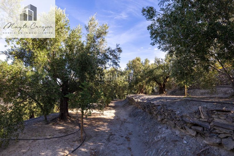 Foto df199f37-3e5c-419a-9dcf-574ca224306e. Finca rústica a Pinar (El)