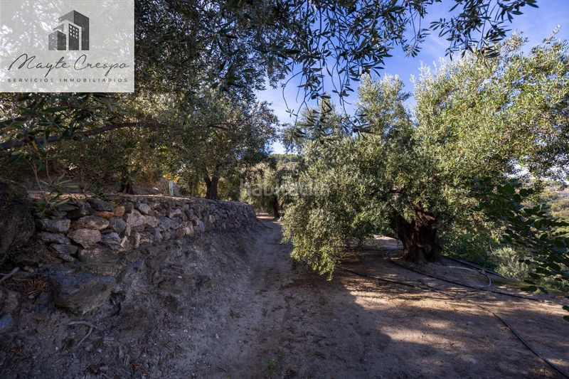 Foto e1de7a2e-8d5a-40a1-bba3-c1439db8d1de. Finca rústica a Pinar (El)
