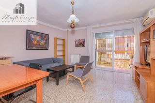 Pis  Calle calle matilde de torre. Piso de 3 habitaciones con mucho potencial en parque nueva grana
