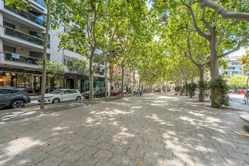 Foto 440e3490-de10-4e93-9529-dd92bdfcf6fc. Piso en passeig de sunyer 3 piso passeig sunyer en Reus