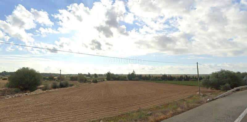 Foto 22bad379-c7a0-450d-b158-08509010f410. Rural plot in Valletes - Xiribecs Amposta