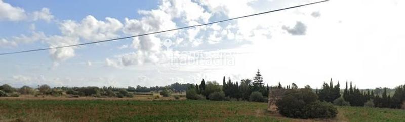 Foto 85729269-324a-4e8d-8825-f5a7cd98ab16. Rural plot in Valletes - Xiribecs Amposta