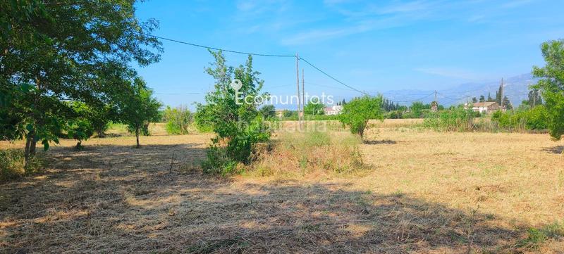 Foto 5097a972-83a2-43a8-868e-0a0552ad7e37. Propriété dans Ferreries Tortosa