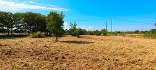 Rural plot  Sant vicent. En tortosa