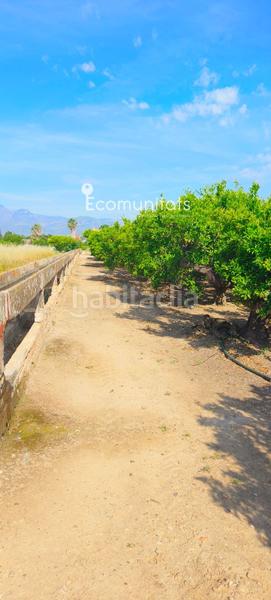 Foto 769258e6-99ff-48a1-829d-f1540ec5d01e. Propriété dans Ferreries Tortosa