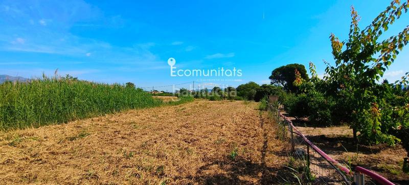 Foto 92d6ae7b-fe62-4ec6-86bc-7e504fc2a0e9. Propriété dans Ferreries Tortosa