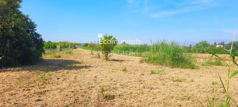 Foto 9f959342-975f-4fae-ba39-f0f26d1d0975. Propriété dans Ferreries Tortosa