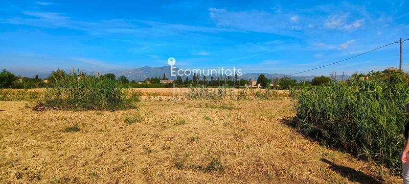 Foto adfe6bbd-ed10-483d-9db1-6b21a5dbfc57. Propriété dans Ferreries Tortosa