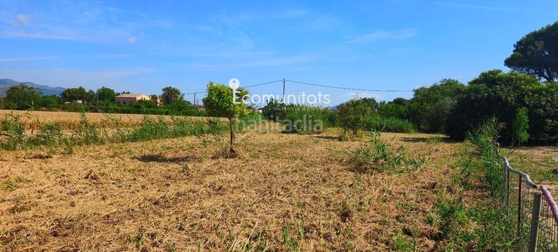 Foto bd74dfce-49b9-444f-bf76-232703c7feff. Propriété dans Ferreries Tortosa