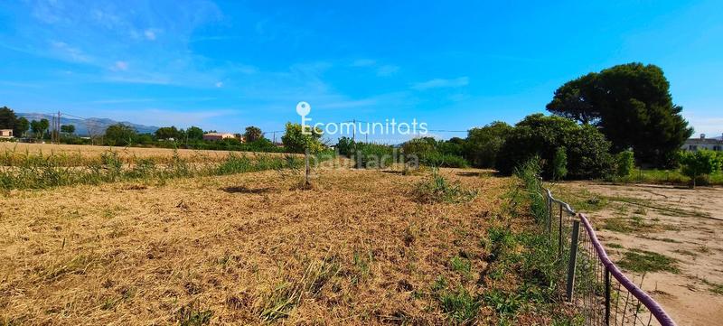 Foto c23a8e3f-cc93-4e9e-9993-73779fb88780. Propriété dans Ferreries Tortosa