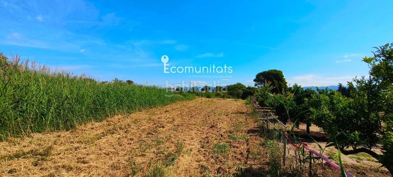 Foto e65b8d95-5d02-4b18-b138-cc39e2b28a76. Propriété dans Ferreries Tortosa