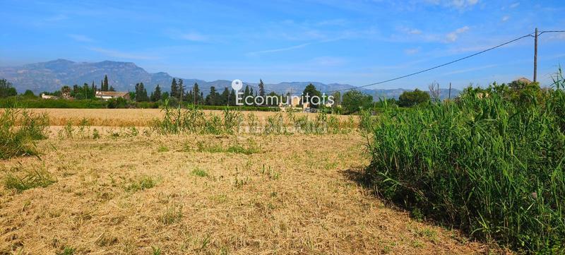 Foto f13e479b-a385-46d5-b56b-aa831be8752b. Propriété dans Ferreries Tortosa