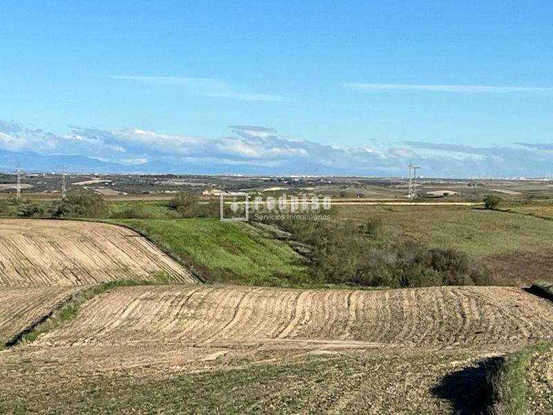 Foto ac251eac-f703-4037-8bd0-29d6f87db05e. Terrain industriel dans Viso de San Juan (El)