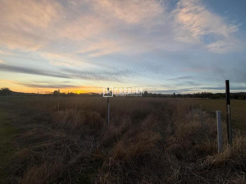 Foto 65ace9ec-0363-464a-880e-7c494df618e4. Solar industrial a Chinchón