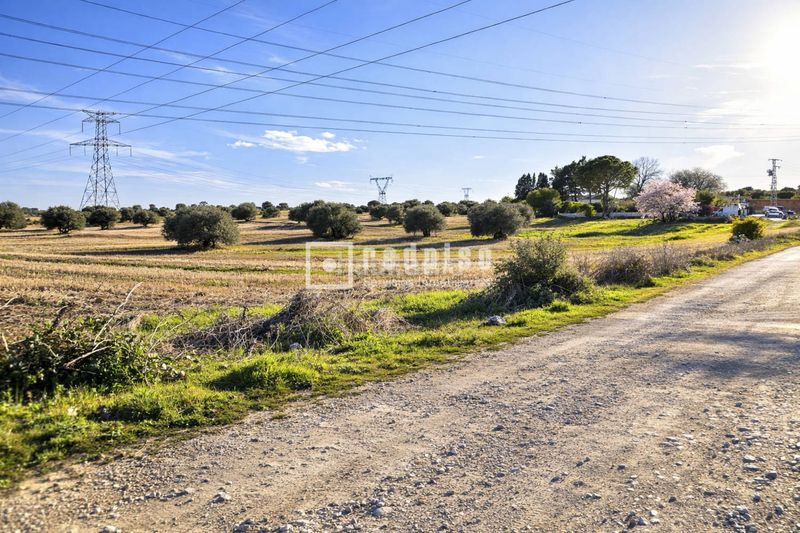 Foto ccf830dc-ddb3-48f6-a236-1cde99592b2c. Terreny residencial a Torrecastillo Seseña